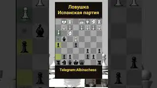 Telegram: Albinachess 