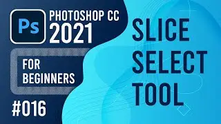 Photoshop CC 2021 for Beginners - (016) - Slice Select Tool