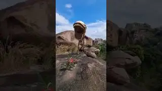 Found  Pac-Man on a hike 