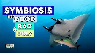 Symbiosis, the Good, the Bad and the Ugly