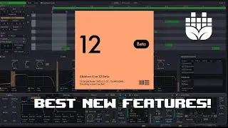 Ableton Live 12: My Favorite New Features!