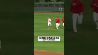 Benches clear and Harper charges mound 😳 #MLB #Benches #Harper #Phillies #Rays