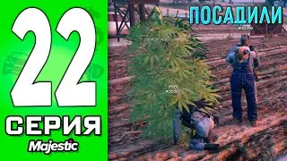 ПУТЬ БОМЖА в ГТА 5 РП #22 - АРЕСТ за ФЕРМУ КУСТОВ в GTA 5 RP!