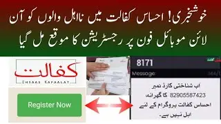 Online Registration for na Ehal in Ehsaas Kafalat Program 2021 | Bisp 2021 | Ehsaas Program update