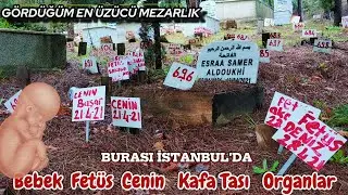 Dünyanın En Kalabalık Bebek Cenin ve Fetüs Mezarı 🥀 İstanbul