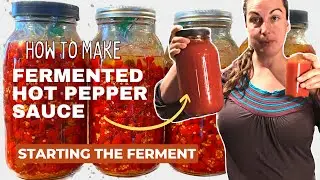 Homemade Hot Sauce How To Start Fermenting Peppers