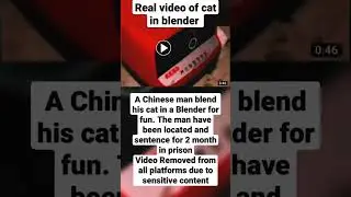 A Chinese man and a cat