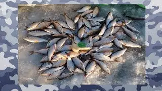 Ловля  Плотвы На  Гирлянду !! Хорошая Рыбалка Часть 1