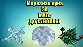 Гайд по ТЕРРАРИИ МОРОЗНАЯ ЛУНА. +15 ВОЛНА