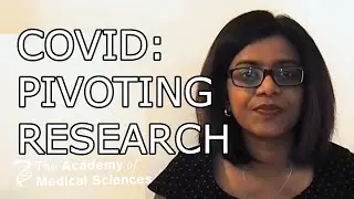 How I pivoted my research during COVID | Dr Shoba Amarnath