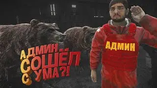 АДМИНЫ СОШЛИ С УМА? - DayZ 4K