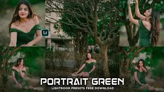 Portrait Green Preset || Lightroom Mobile Presets DNG || Lightroom Free Presets || Green Tone Preset