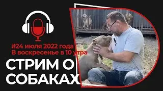 СТРИМ 24 июля 2022 года из питомника собак РашенДог (RussianDog)