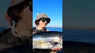 Big tuna on light tackle! #fishing #shorts