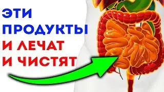 6 ВОЛШЕБНЫХ ПРОДУКТОВ для кишечника, ЖКТ и для здоровья желудка