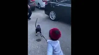 Хасбик с личной охраной