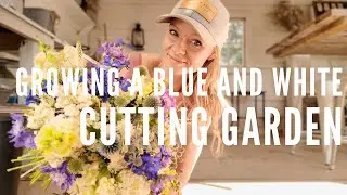 Growing a blue and white cutting flower garden!