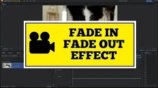 Fade IN and Fade OUT in Hitfilm Express 12