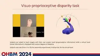 OHBM 2024 | Oral Session | Giulio Mastria |  Body ownership alterations emerge from proprioceptive…