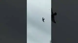 Смотреть всем!!! Очень страшно!!! летчики развлекаются , непонятные маневры в центре города!!!