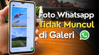 Cara Mengatasi Foto Whatsapp yang Tidak Muncul di Galeri Terbaru 2024