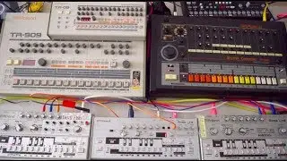 Insta-Acid: TR09 + TR909 + TB03 + TB303 + TB303 Devilfish + TR808