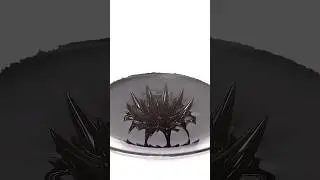 Ferrofluid is crazy