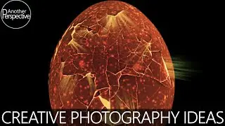 Niche Photography Ideas using an EGG