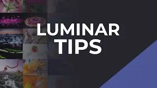 Skylum Luminar Tips for Beginner Photographers