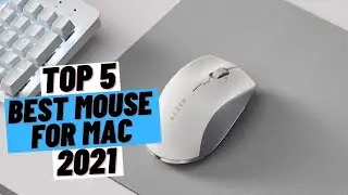 TOP 5 Best Mouse for MAC