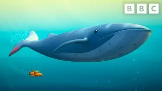 Octonauts 🐳 Blue Whale Rescue | Earth Day | CBeebies