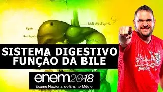 FUNÇÃO DA BILE - SISTEMA DIGESTIVO - ENEM 2018 LISTA 24   QUESTÃO 13