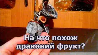 Деликатесы Архипо-Осиповки