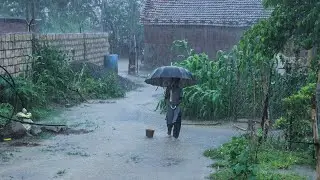 Heavy Rain in Village | Beautiful Rain Scenery| Monsoon Nature