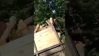 ЖАДНЫЙ ВОДИТЕЛЬ 🤯