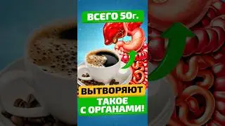 Что творит кофе с сосудами, кровью, мозгом, ЖКТ…#здоровьеидолголетие