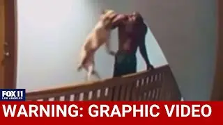 Man throws dog down three stories at apartment in LA