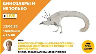 Занятие "Компсогнатиды и альваресзавры — большие достижения крошечных динозавров" // Ярослав Попов