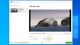 How to flip a video