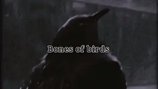 Soundgarden - Bones Of Birds (Lyric video)