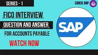 FICO Interview Question and Answer for Accounts Payable Series - 1