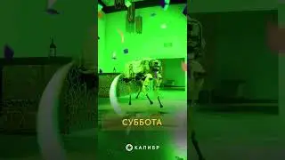 Бадди поздравляет всех с пятницей!
