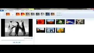 How to Add Visual Effects in Windows Movie Maker