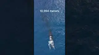 how deep the ocean is ?