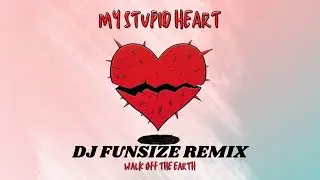 Walk Off The Earth - My Stupid Heart (DJ Funsize Remix)