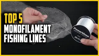 Top 5 Best Monofilament Fishing Lines in 2024