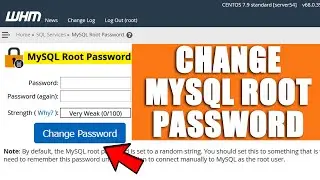 [🔴LIVE] How to change MySQL root password?