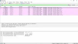 2  Creating Wireshark filters