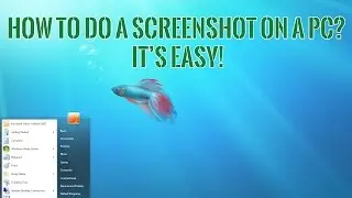 How to do a screenshot on a PC