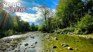 The gentle and relaxing sound of the morning river without music or birdsong.